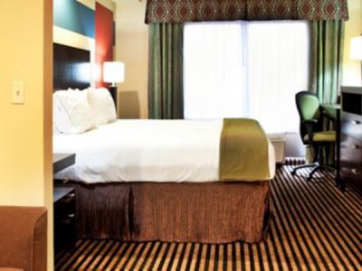 Hotel Holiday Inn Express Donaldsonville By Ihg